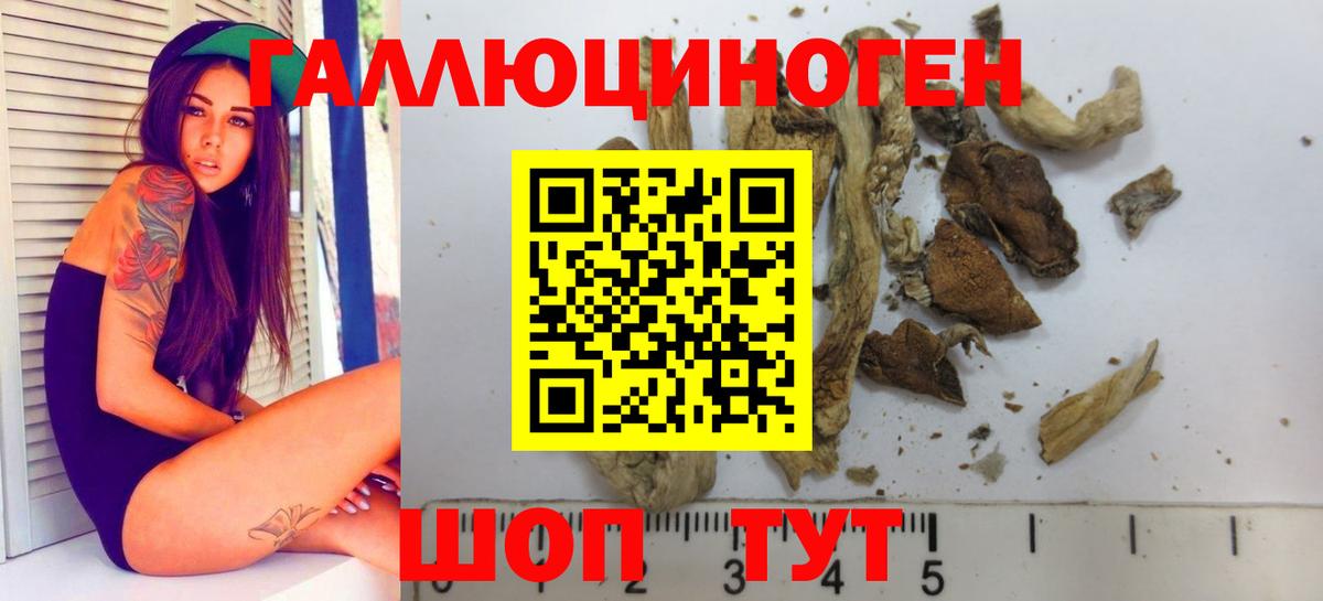 Псилоцибиновые грибы Cubensis Кимры
